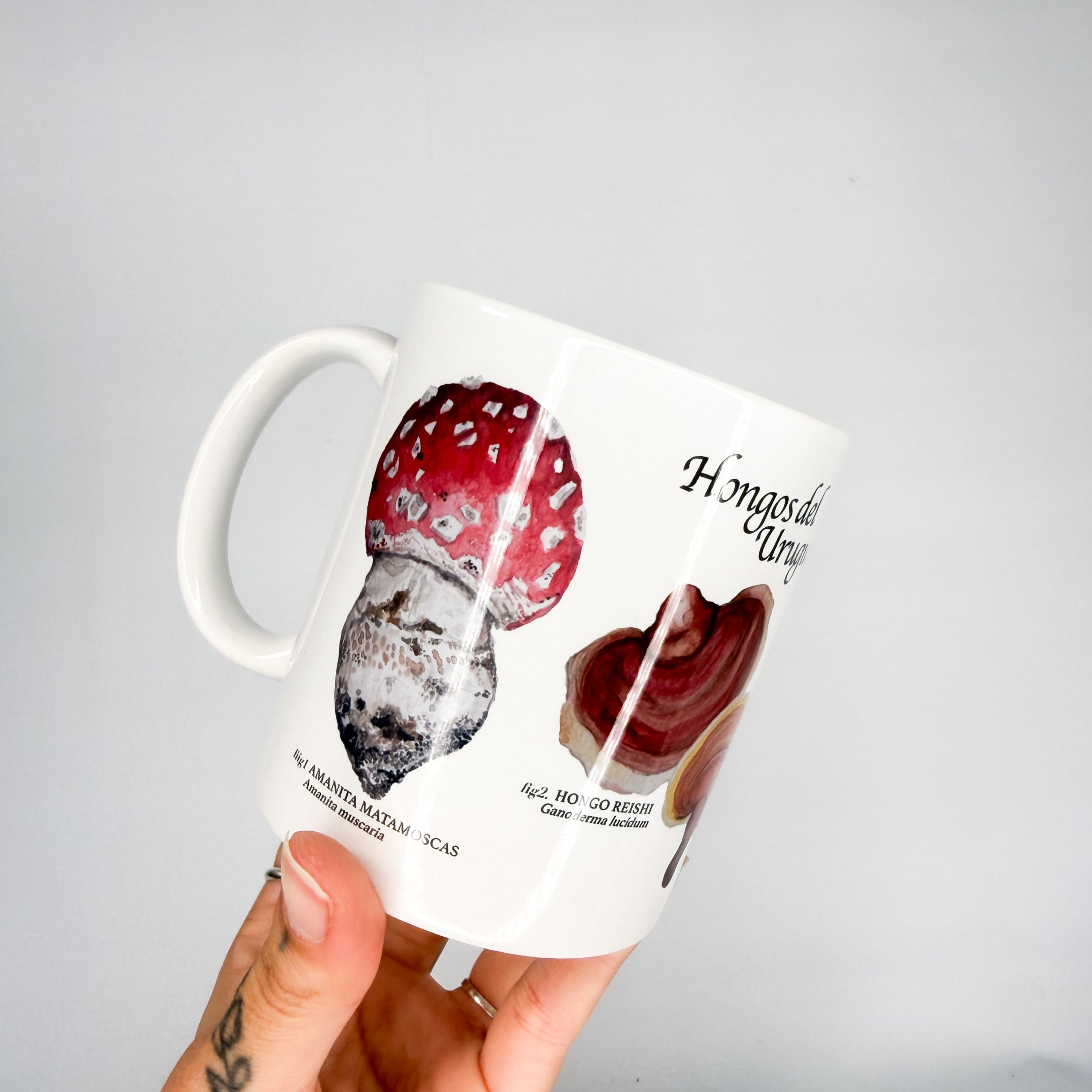 Tazas Naturalia