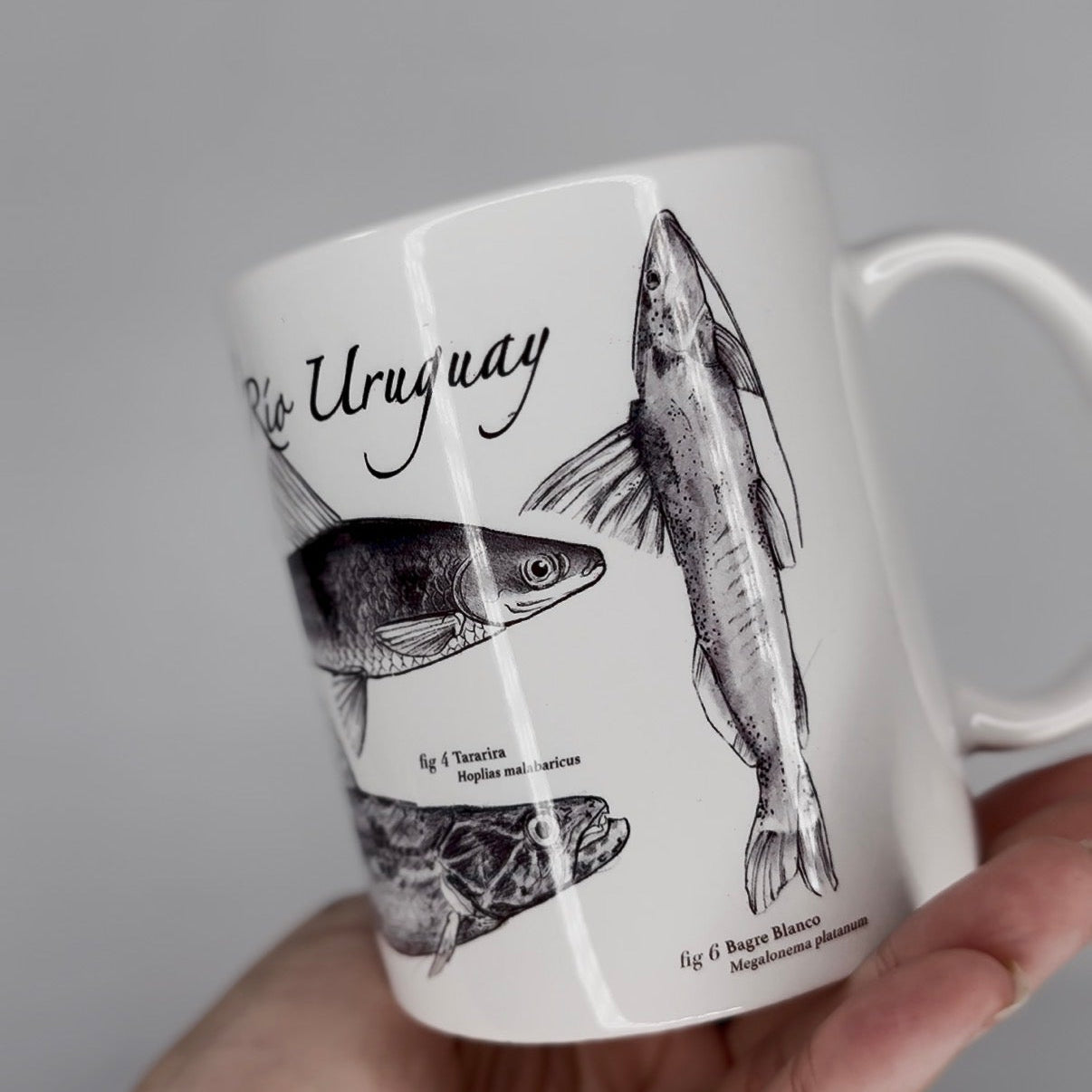 Tazas Naturalia